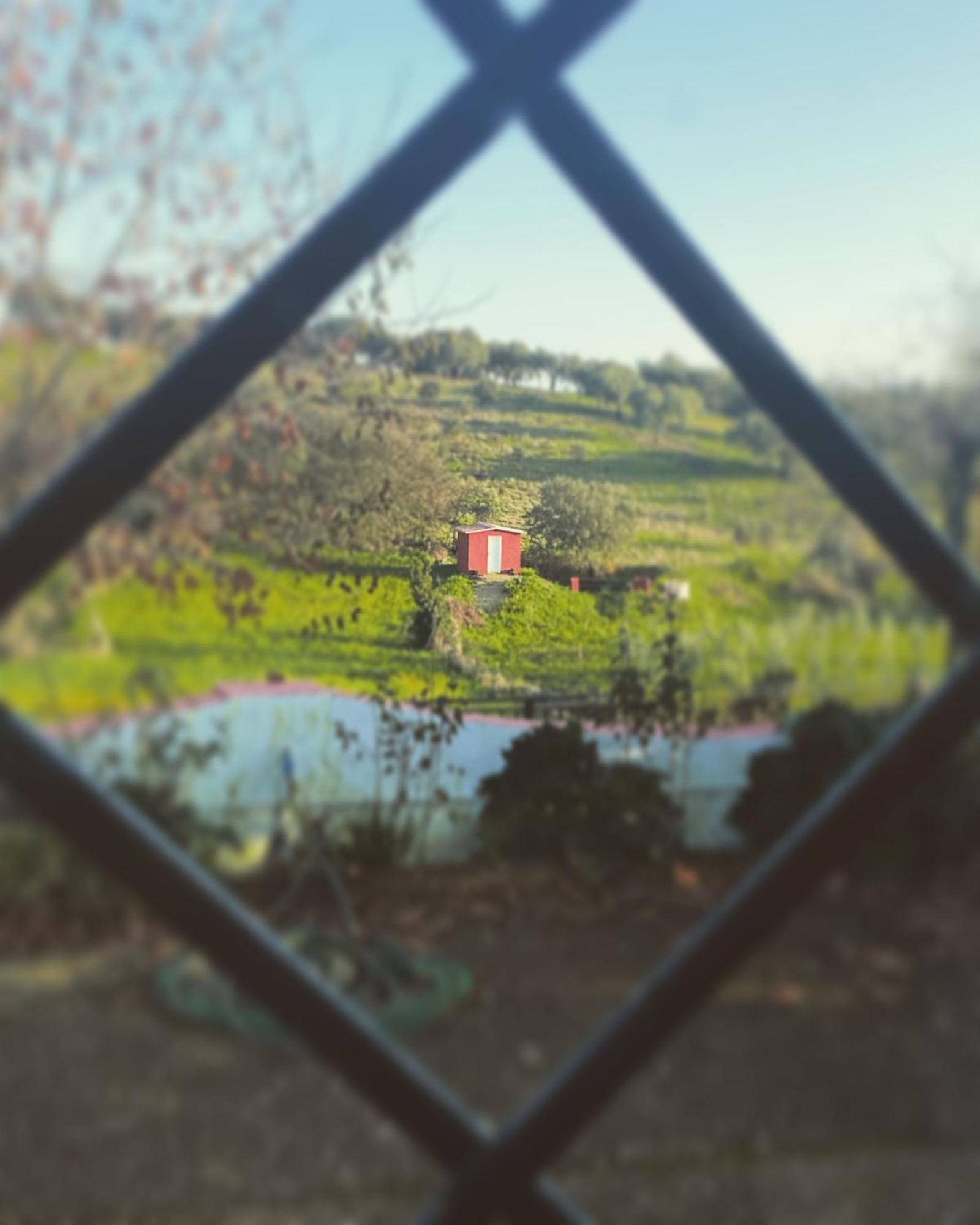 Cedillo La Casa Barata, Casa Rural מראה חיצוני תמונה