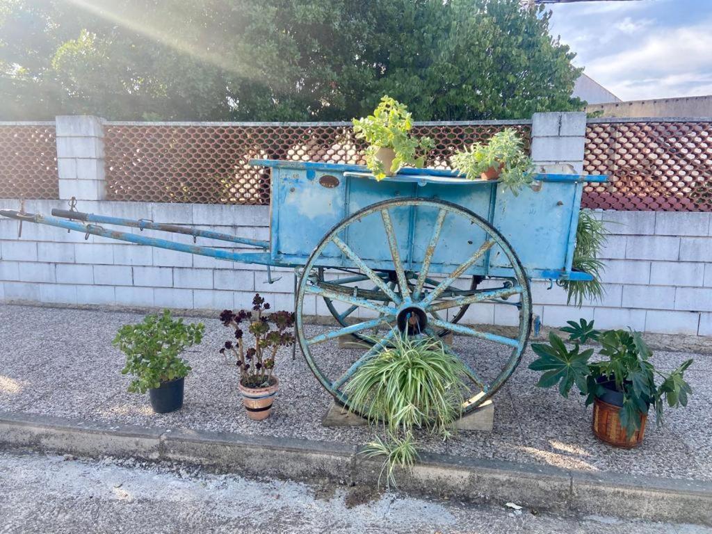 Cedillo La Casa Barata, Casa Rural מראה חיצוני תמונה